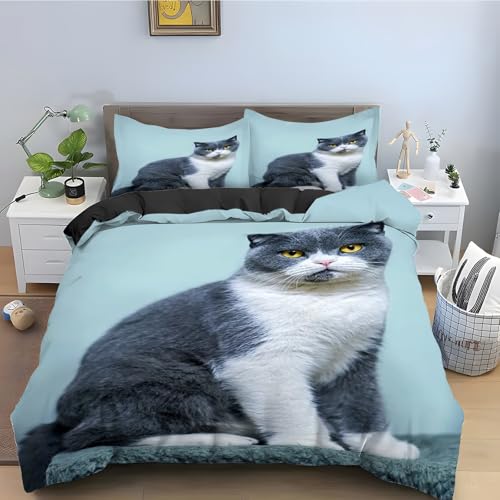 Ensemble de literie 3 pièces bleu et blanc avec housse couette microfibre douce