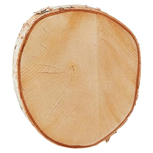 Rayher 55806000 Disque de bouleau, 25-28cm ø