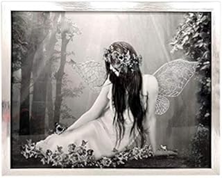 Glitter Angel & Angel Wings Canvas Wall Art Hanging Pictures Home Decoration Assorted Plaques (Fairy glass)