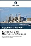 Entwicklung der Meerwasserentsalzung: Möglichst niedrige Kosten und geringere Umweltauswirkungen