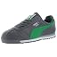 Steel Fern Green Gray
