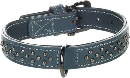 Collier Denver bleu 31-37cm accessoire de promenade chien 25mm