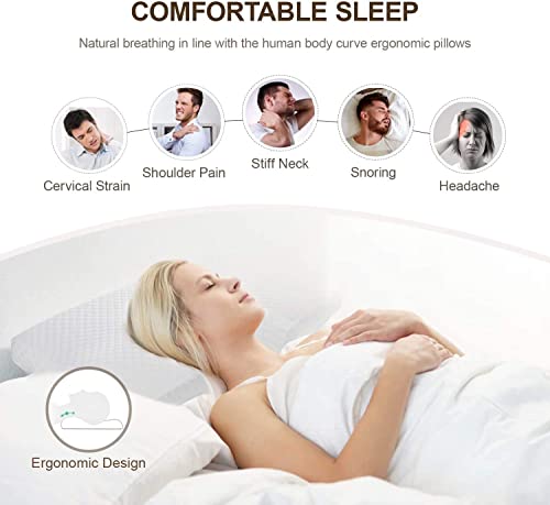 Image of Rylan Cervical Memory Foam Pillow for Neck Support | 2-Year Manufacturing Warranty | Orthopedic Contour Pillow for Cervical Spine Alignment & Shoulder Support | Made in India