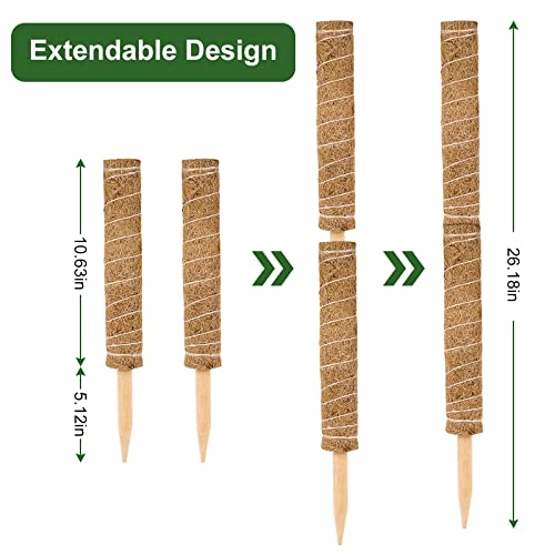 Vicloon Moss Pole, 2pcs Coir Totem Pole, Coir Moss Stick Plant Totem Moss Sticks for Indoor Plants Climbing Creepers - Image 2
