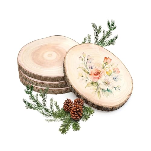 4 Pièces Assiettes Rondes En Bois, Tranches De Bois Rondes, Tranches De Tronc D'arbre, Tranches D'arbre Rondes, 20-23 Cm, Diamètre Épaisseur 1,5-2 Cm, Pour...