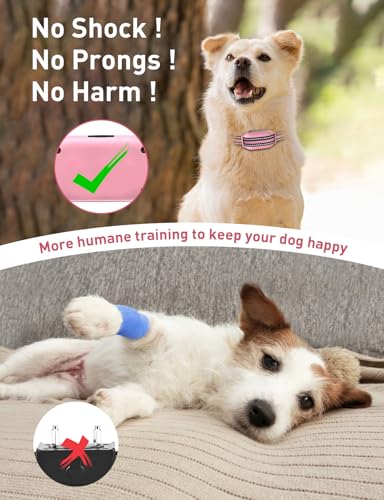 DOGLinsen No Shock Dog Training Collar 2 Dogs, Vibrating Dog Collar, No Shock Training Collar with Remote 2800Ft, Beep and Vibration Collar for Small Puppy Medium Large Dogs - Safe and Humane