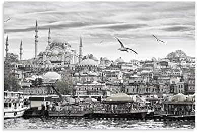 Istanbul Nature Art Black and White Photography Poster Canvas Painting Wall Art Poster for Bedroom Living Room Decor 16x24inch(40x60cm) Unframe-Style