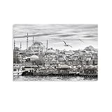 Istanbul Nature Art Black and White Photography Poster Canvas Painting Wall Art Poster for Bedroom L