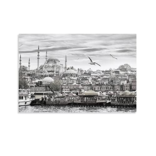 Istanbul Nature Art Black And White Photography Poster Canvas Painting Wall Art Poster For Bedroom Living Room Decor 16X24Inch(40X60Cm) Unframe-Style #TOP29