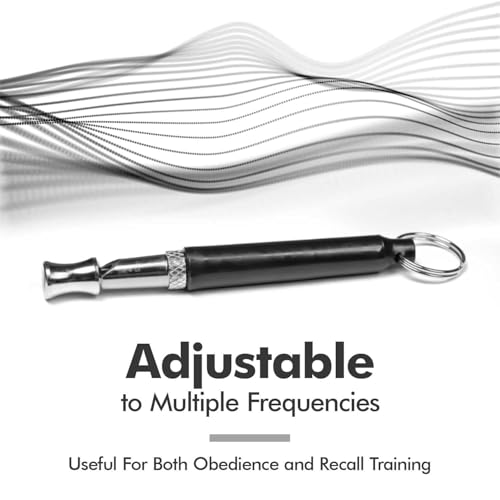 Training Tips for Ultrasonic Dog Whistles