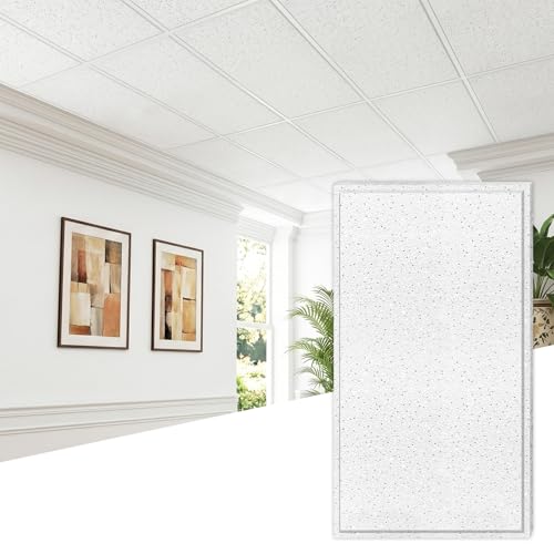 LooYee 10 PCS 2x4 Ft Mineral Fiber Acoustic Ceiling Tiles 24x48 Inch Moisture-Proof and Flame-Retardant Suspended Ceiling Panels Ideal for Basement Home Theater Commercial Space Cover 80 Sq.Ft