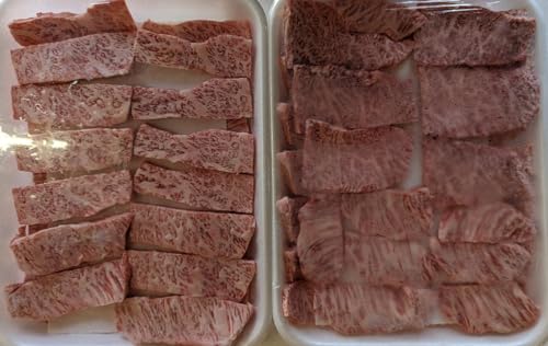 ˋ Opôݎgp ɏJr[ 500g×2P ēp Ⓚ