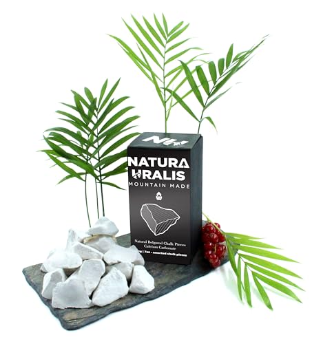 Natura Uralis Premium Belgorod Kreidestücke | Weiße Kreidestücke – Erstaunlicher Crunch, Erdig, Samtig und Fest, ASMR-Aufsehen, Natürliches Calciumcarbonat (Klein-Pack (200g))