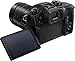 Panasonic LUMIX GH5S Body 4K Digital Camera, 10.2 Megapixel Mirrorless Camera with High-Sensitivity MOS Sensor, C4K/4K UHD 4:2:2 10-Bit, 3.2-Inch LCD, DC-GH5S (Black)