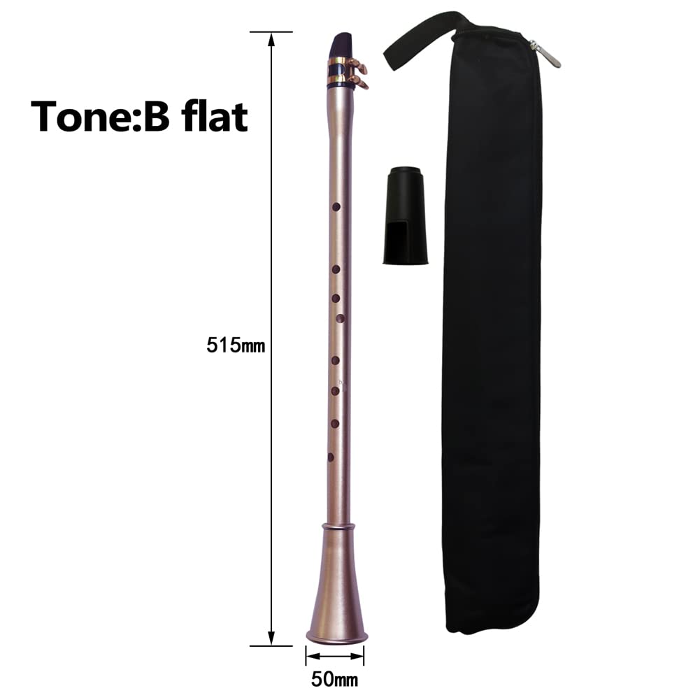 Sassofono Sassofono tascabile ABS Sax Mini sassofono portatile Piccolo sassofono con borsa per il trasporto Strumento a fiato