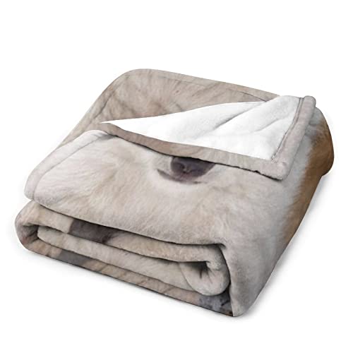 Couverture en flanelle super douce et chaude pour lit en peluche - 4
