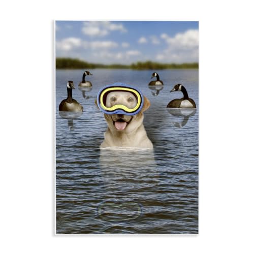 Stupell Industries 'Funny Dog Goggles Swimming Bay'| Wall Plaque Art