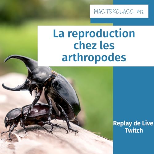 Masterclass terrariophiles #12 : La reproduction chez les arthropodes