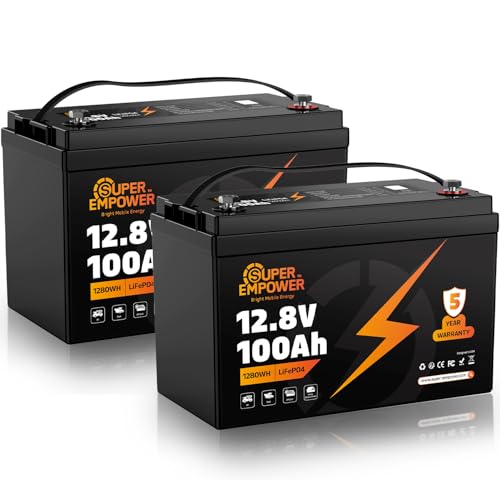 12V 100Ah LiFePO4 Lithium Battery- BCI Group 27, Deep Cycle LiFePO4 Battery with Low-Temp Protection, 100A BMS, 3840Wh, Max.15000 Cycles,10-Year Lifespan for RV, Solar, Trolling Motor (2 PACK)