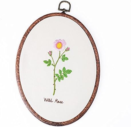 Embroidery Kit For Beginner Flower Design DIY Home Wall Decor Wild Rose