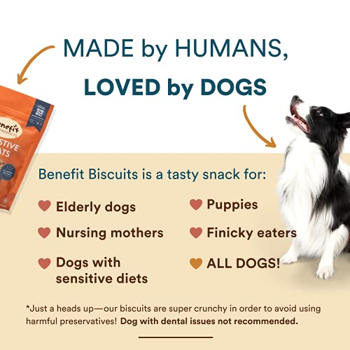 Benefit Biscuits, All Natural Dog Treats, Certified Vegan, Non Gmo, Wheat Free, Healthy Dog Biscuits, Made In Usa (Pumpkin, Regular Bag, 7Oz) #TOP4