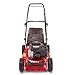 Mountfield HP185 Engine