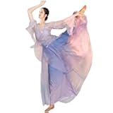 Chinese Style Folk Dance Classical Dancer Performance Costumes Elegant Practice Clothes Chinese Dance Costume