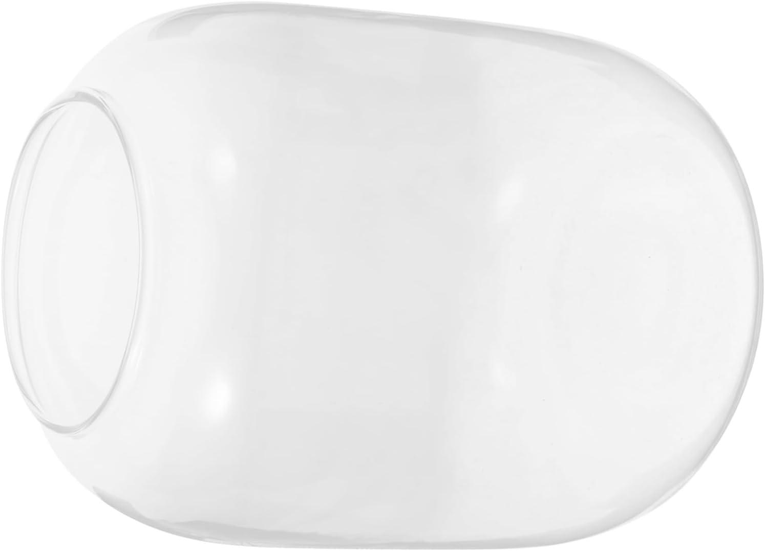 BESPORTBLE Clear Glass Plant Container for Hydroponics Modern Round Vase for Flowers Versatile Decorative Landscape for Home Wedding Decor