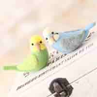 専用　羊毛フェルト　ハンドメイド　インコBOX 専用 羊毛フェルト ハンドメイド インコBOX