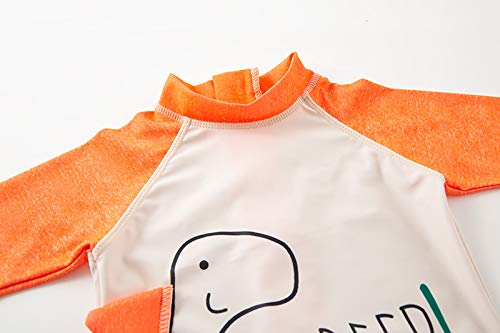 Amberetech Kid Baby Boys One-Piece Rash Guard Swimsuit Toddlers Zipper Bathing Suit Swimwear With Hat Surfing Suit Upf 50+ (Dinosaur Beep Beep, 18-24 Months) #TOP2