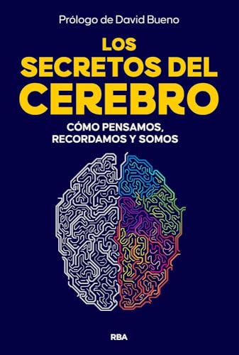 Los secretos del cerebro
