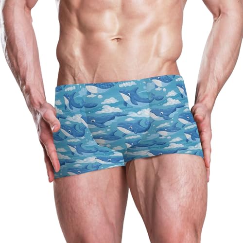 Dolphins Animal Mens Swim Trunk Swimwear Bathing Suit Swim Brief Square Leg Board Short S B04035512