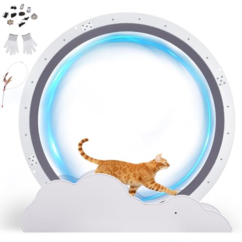 GTPLAYER Cat Wheels, Large Cat Exercise Wheel for Indoor Cats, 40" Diameter cat Treadmill Detachable Carpet & Teaser, Stickers, Ultra-Quiet Scroll Wheel with Latch, Metal, White Cloud
