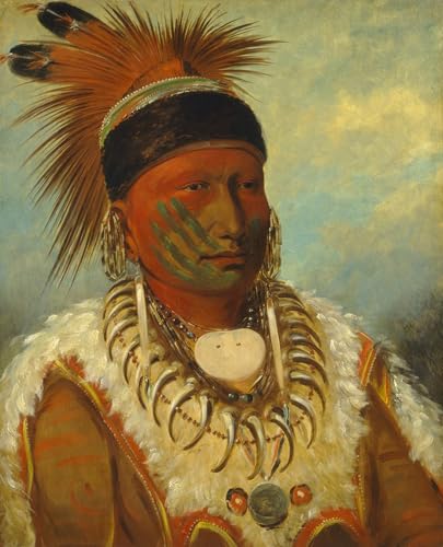 Tableau le White Cloud Head Chief de l'Iowa par George Catlin, impression d'art élégante
