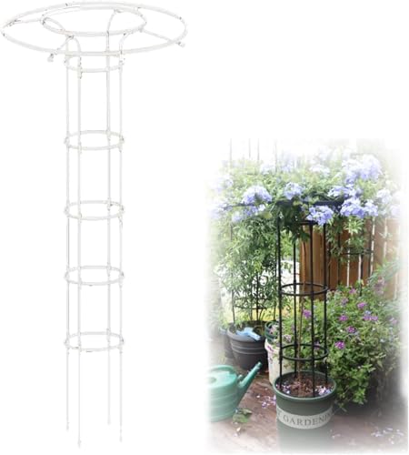 Pionowa kratka ogrodowa na rośliny pnące, odporna na rdzę klatka podtrzymująca parasol dla róż glicynii i winorośli, 180 cm, stojak na rośliny i stojak na kwiaty