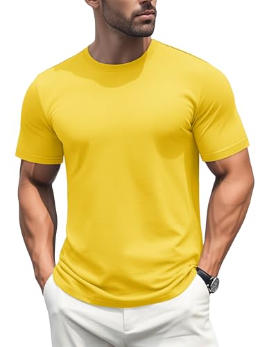 MAGCOMSEN Men's T-Shirts Short Sleeve Cotton Crew Neck Soft Breathable T Shirts Casual Plain Classic Summer Tees