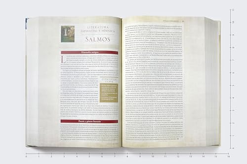 Image of RVR, Biblia de estudio trasfondo cultural (El contexto lo cambia todo), Tapa dura, Interior a color, Comfort Print: Explora el mundo antiguo de la Escritura (Spanish Edition)