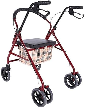 rollator per carichi pesanti