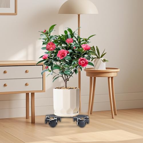 Support de plante avec roulettes en métal robuste pour pot de fleurs
