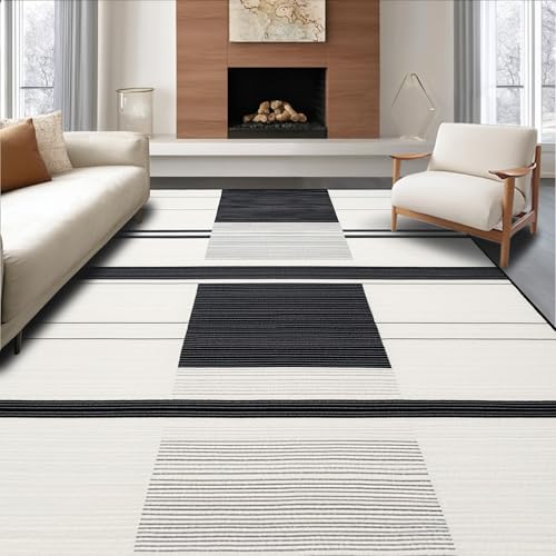ODIKA Flatwoven High Traffic Area Rug 2x3, Minimalist Monochrome, Non