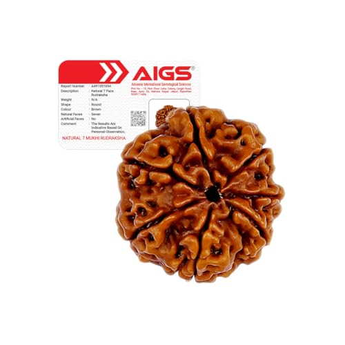 7 Mukhi Rudraksha (Nepal Origin) – Gateway to Wealth, Career & Sa...