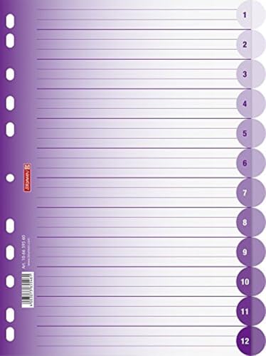 Brunnen 106659560 Ordnerregister Colour Code, PP, halbrund, A 4, 225 x 2, violett