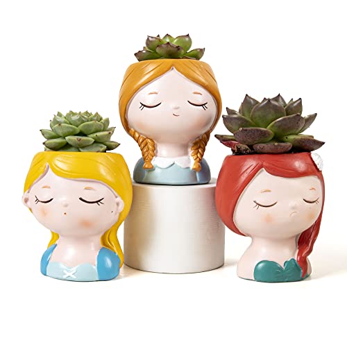 Chrodetor Succulent Pots Set of 3 Small Planting Pot with Drainage Resin Flower Pots Small Planter Pots for Mini Plant Cactus Plant Pot Gardening Gifts for Women Home Office Desk Decorations