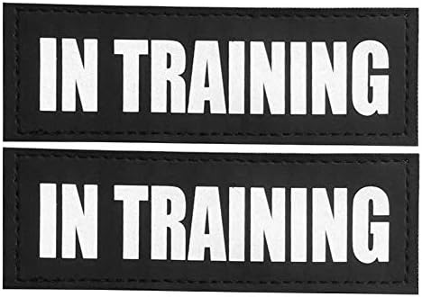 Fairwin in Training Patches, Reflective and Removable Dog Tags for Service Vest Dog Harness