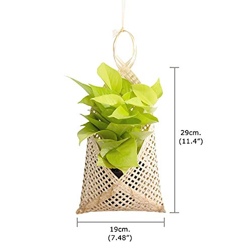 Powerlap Pro 2 Pack Woven Basket Handmade - Plant Basket - Hanging Basket For Plant Pot Cover And Storage - Bamboo Basket Small Natural Bamboo Woven Basket Weave Hanging Planters #TOP3
