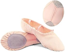 The Dance Bible Girl's Adult Stretch Mesh Soft Canvas Split Sole Ballet Dance Shoes