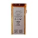 SWARK Battery 616-0406 616-0467 Compatible with iPod Nano (4th Gen) A1285 MP3, MP4, PMP Battery with Tools