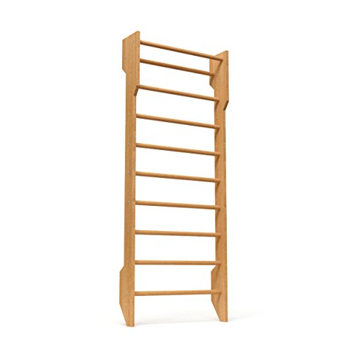 Escalera Sueca Sport-0-195 Espaldera para Gimnasio, Espaldera de Fitness, Complejo Deportivo de Gimnasia, Gimnasia de los niños en casa, Barras