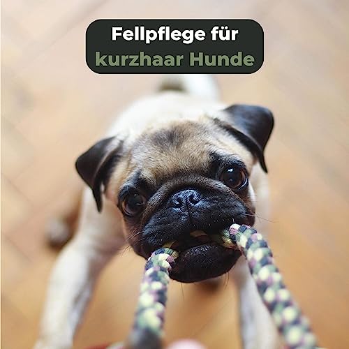 Grünschloss Hundebürste kurzhaar & Katzenbürste weiche Naturborsten - sanfte Tierbürste Holz mit Massage Effekt & Pfotenreiniger Hunde klein + Katzenbürste Pfote (Made in Germany) Bürste Katze Holz