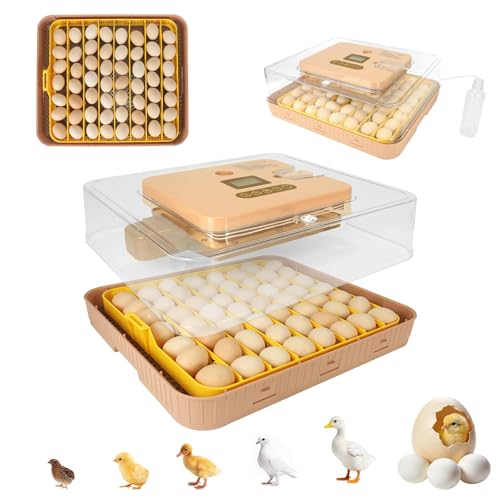 4th Gen – 56 Egg Fully Automatic Incubator, 2026 UpgradedDesign, Intelligent Sensor-Based Humidity & Temp Control, Custom Days, Adjustable Auto Turning & Stop, Chick Separator, Flexible Egg Spacing